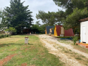  Camp Din  Новиград